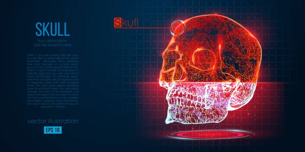 Silhueta abstrata do crânio poligonal do ser humano sobre fundo azul. Digitalização, pesquisa e diagnóstico do crânio humano. Polo baixo holográfico, vetor do wireframe. Obrigado por ver. —  Vetores de Stock