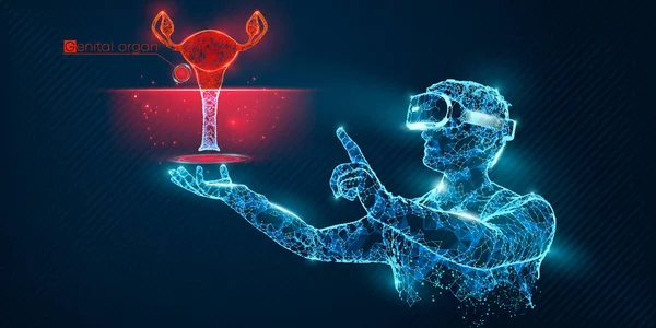 VR wireframe headset. Mnohoúhelníkový muž s brýlemi virtuální reality, s hologramem ženských pohlavních orgánů. Věda, diagnostika, virtuální analýza, analýza. VR hry. Díky za sledování. — Stockový vektor