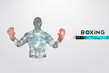 Beyaz arka planda boks eldivenleri olan bir boksörün soyut silueti. Boksör kazandı. EP dosyasının uygun organizasyonu. Vektör çizimi. İzlediğiniz için teşekkürler.