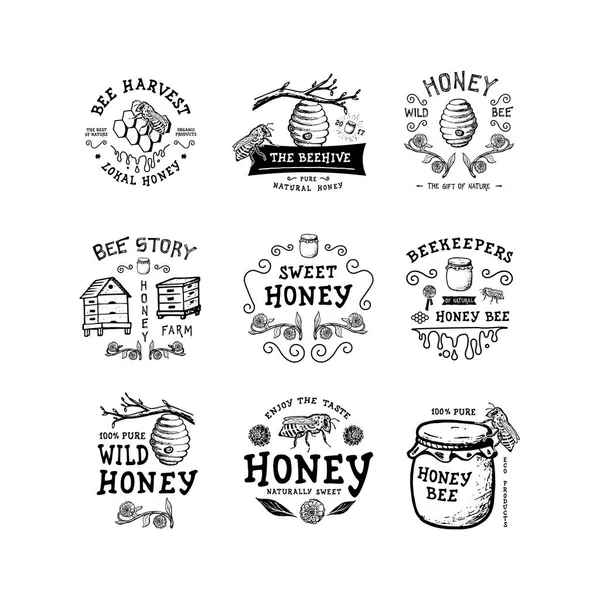 Conjunto de insignia Honey . — Archivo Imágenes Vectoriales