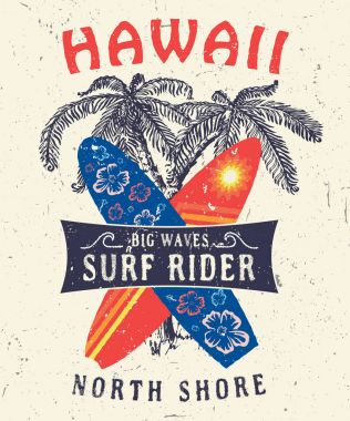 Hawaii North Shore Surf binici.