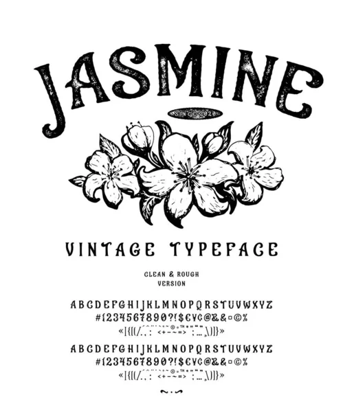 Font Jasmine 。复古字体设计. — 图库矢量图片