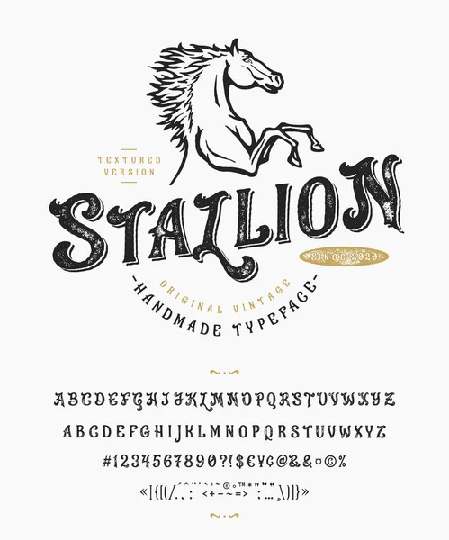 Lettertype Stallion. Vintage lettertype ontwerp — Stockvector