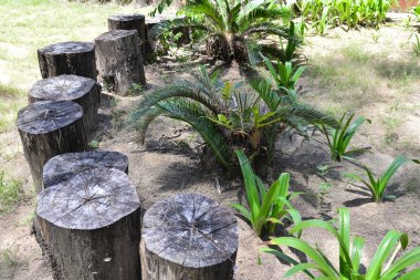 masa ve sandalyeler dışında Bahçe olarak kullanılan kütükler.