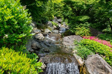Küçük dağ şelale içinde yosun kaplı buzlu 