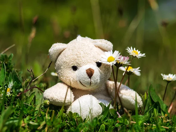 The little toy bear sits on a grass near flowers.