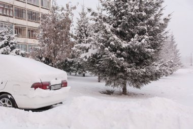 kar altında araba