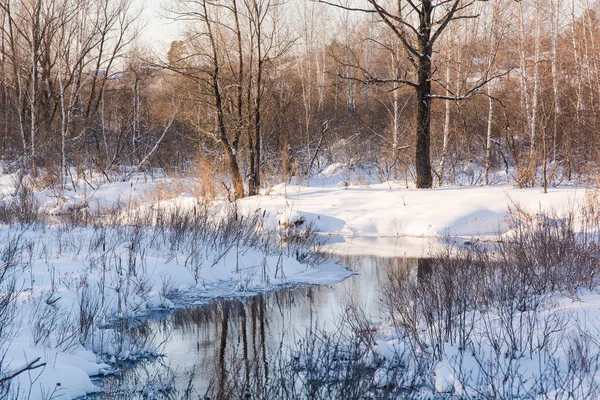 Der See im Winter — Stockfoto