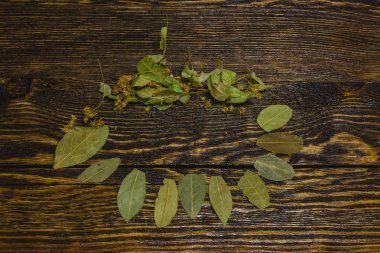 Defne yaprağı yalanlar