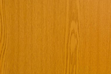 Bir ağacın karanlık doku