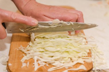 Lahana doğra. Lahana hasat ediyorum. Ev yapımı kuru sıkı. Bir sürü lahana yakından çekilmiş. Kamuflajı kes..