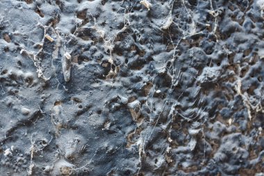 Duvardaki örümcek ağı. Duvarda örümcek ağı var.. 