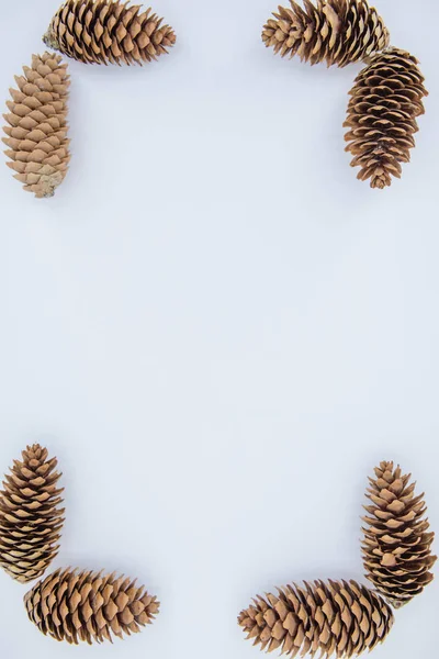 Christmas background. Background of christmas cones. — Stock Photo, Image