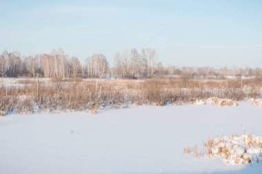Çayırda kar var. Çimenlere kar yağdı. Çalılarda kar var. Kış geldi. Kış manzarası