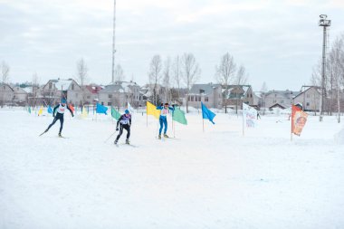 Zarinsk, Rusya - Mart 01, 2020: İnsanlar kayak, toplu kayak, ağaçlar arasında kayak, kış yarışmaları, olimpiyat sporları, spor yapıyorlar.