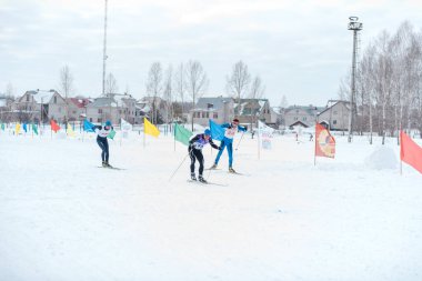 Zarinsk, Rusya - Mart 01, 2020: İnsanlar kayak, toplu kayak, ağaçlar arasında kayak, kış yarışmaları, olimpiyat sporları, spor yapıyorlar.