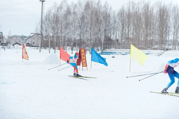 Zarinsk Russia March 2020 People Skiing Mass Skiing Skiing Trees — Stock Photo, Image