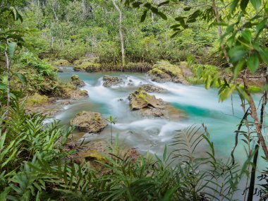 Yeşil su göl nehir şelale ile kök ağaca Tha Pom Klong şarkı Nam, Krabi, Tayland, Thailand