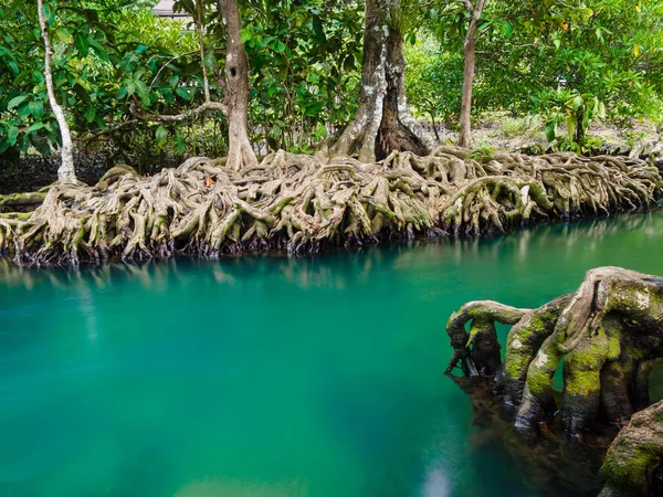 Grüne Wasserseen Flusswasserfall mit Wurzelbaum bei tha pom klong song nam, krabi, thailand — Stockfoto