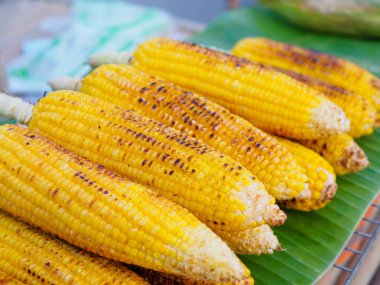 Organik ızgara mısır yığında muz yaprak