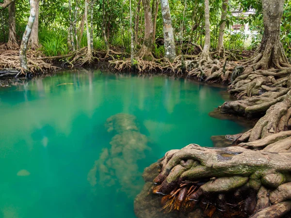 Tha Pom Klong Song Nam, Krabi, Thailand — Stockfoto