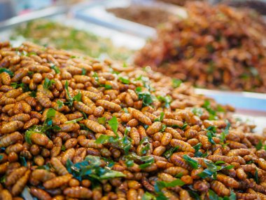 Egzotik Asya gıda. sıcak ışık durumda kızarmış böcekler