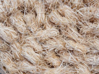 Bambu mandal doku arka plan