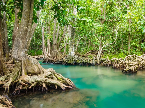 Tha Pom Klong Song Nam, Krabi, Thailand — Stockfoto