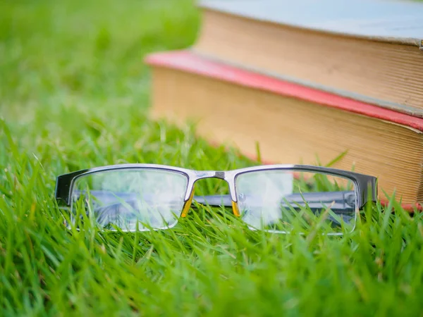 Old worn distressed vintage leather book and spectacles lying on lush green grass in summer sunshine — Stock Photo, Image