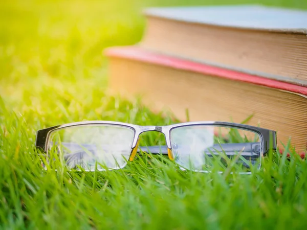 Old worn distressed vintage leather book and spectacles lying on lush green grass in summer sunshine — Stock Photo, Image