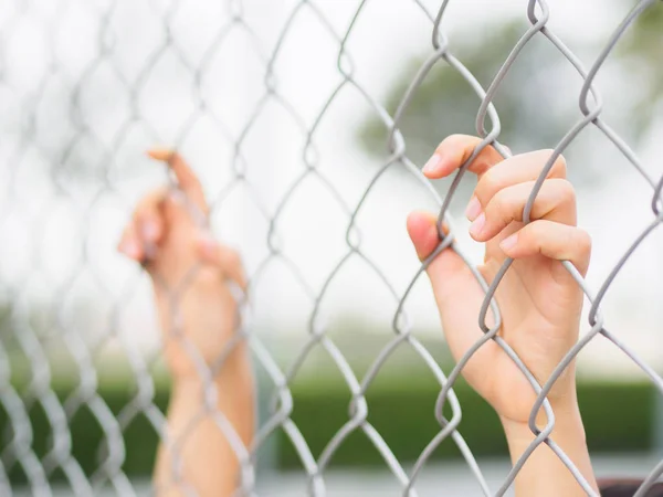 Przytrzymanie ogrodzenia na zewnątrz krajobrazy podczas letniego ręce kobiety. Ręka w więzieniu, koncepcja karę dożywotniego pozbawienia wolności — Zdjęcie stockowe