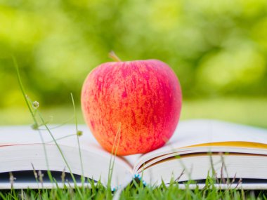 Dünya kitap günü kavramı. Kırmızı elma ve açık kitap koymak kalem