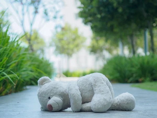 散歩で寝ている孤独なテディベアの方法または道 (愛についての概念) — ストック写真