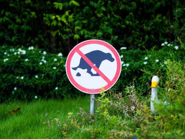 Kaka işareti parkta köpek