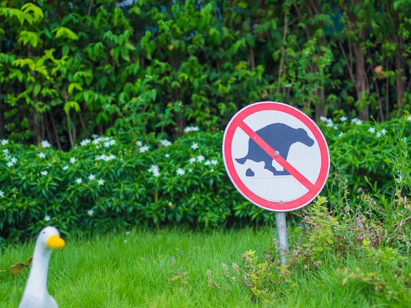 No dog pooping sign in park