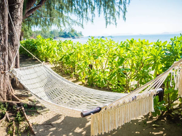 Ağaçları ve güzel deniz tropik sahilde boş hamak