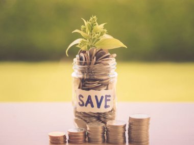 Retro soyut para tasarrufu küçük bebek ağaç Cam Kavanoz sikke yığını sikke yeşil ağaç arka plan tablo ile.