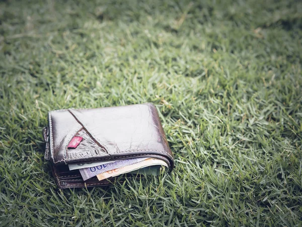 Lost leather wallet with money on green grass background