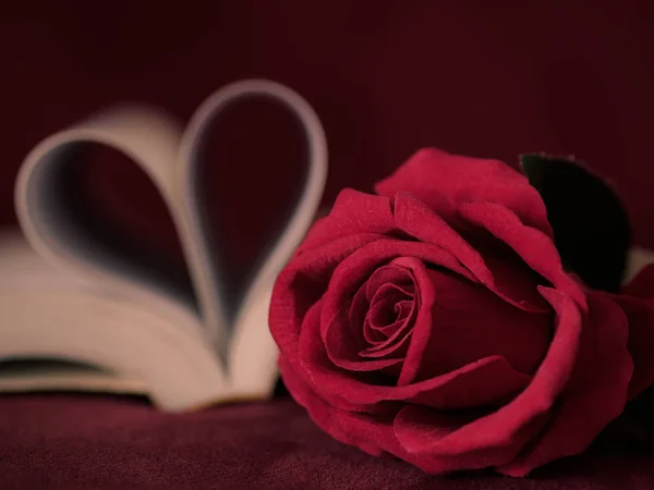 Estilo retro para rosa roja con páginas de un libro curvado en forma de corazón . —  Fotos de Stock