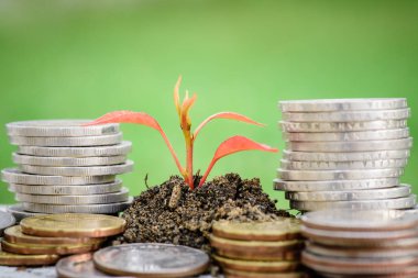Sikke para tasarruf kavramı için yeşil cam arka plan bebek ağacı ile yığını.