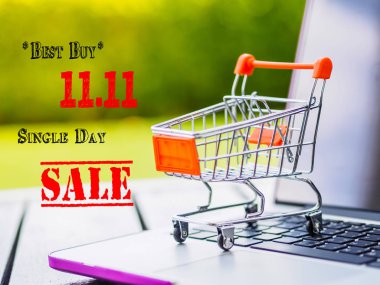 Mini alışveriş sepeti ve laptop Çin 11.11 gün Satılık 