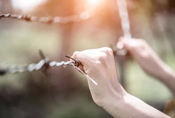 Woman hand holding a barbed wire hope for freedom .