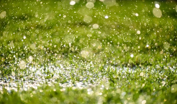 Lágy fókusz-közeli fel nehéz esik a zöld füves területen friss reggel természetes háttérben. Víz nap világképének. — Stock Fotó