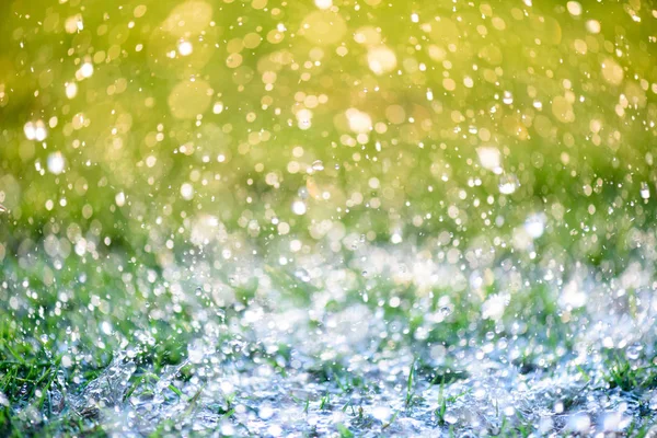 Lágy fókusz-közeli fel nehéz esik a zöld füves területen, a friss reggel természetes háttér. — Stock Fotó