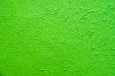 parlak yeşil dut kağıdı arka plan