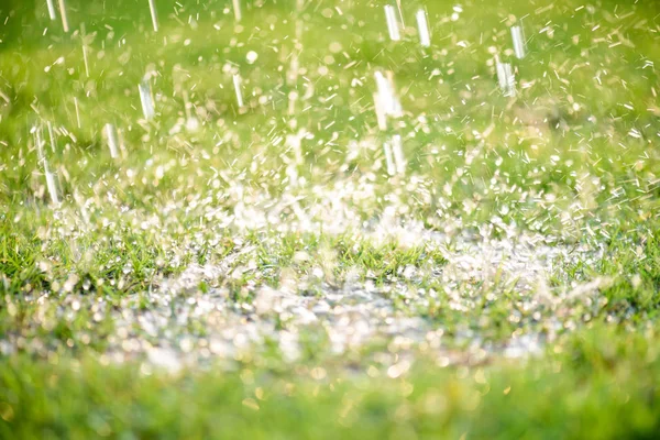 Μαλακή εστίαση της Close μέχρι βαριά βρέχει σε πράσινο χόρτο πεδίο σε φρέσκο πρωί φυσικό υπόβαθρο. Παγκόσμια ημέρα νερού έννοια. — Φωτογραφία Αρχείου