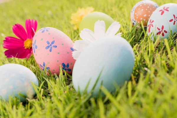 Happy easter!  Closeup Colorful Easter eggs on green grass field during sunset background. — Stock Photo, Image