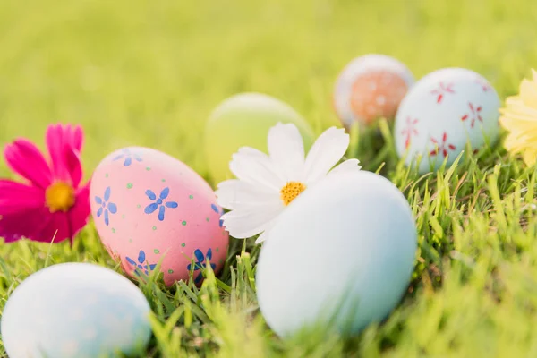 Happy easter!  Closeup Colorful Easter eggs on green grass field — Stock Photo, Image