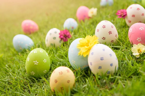 Happy easter!  Closeup Colorful Easter eggs in nest — Stock Photo, Image