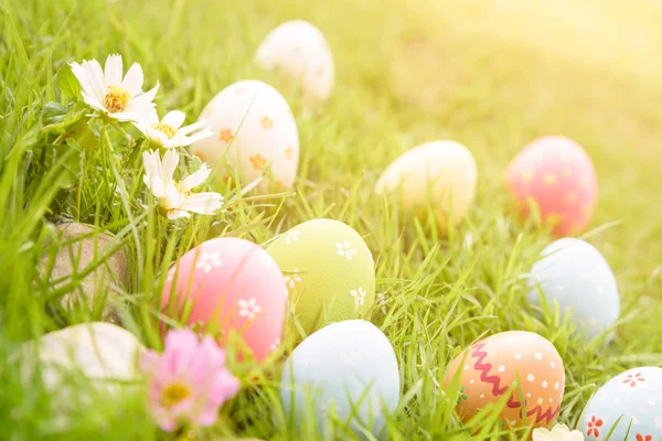 Happy easter!  Closeup Colorful Easter eggs in nest — Stock Photo, Image